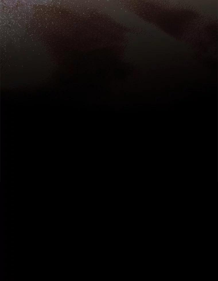 131.jpg