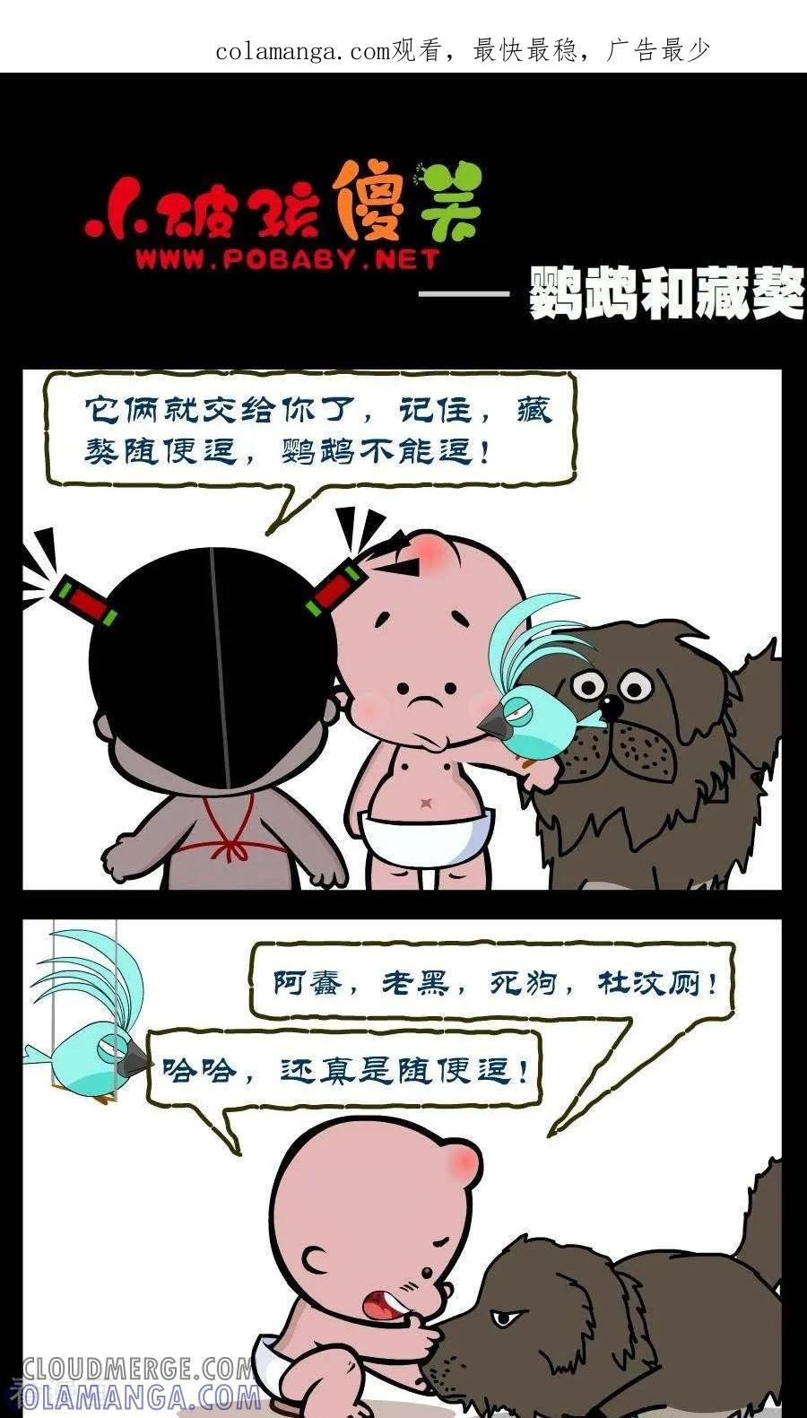 第327话鹦鹉和藏獒-小破孩傻笑-拾荒动画（第1张）