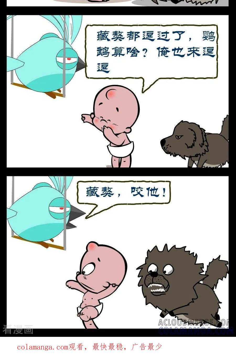 第327话鹦鹉和藏獒-小破孩傻笑-拾荒动画（第2张）