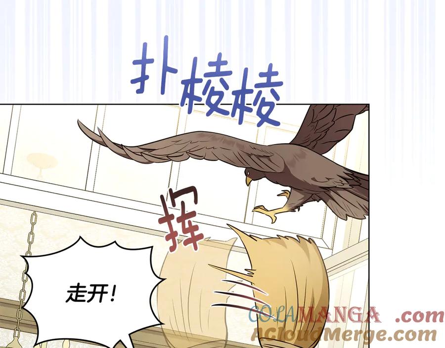 特别外传第1话鹰的主人-公爵大人，请别太靠近-Manta comics+JIN SOYE（第4张）