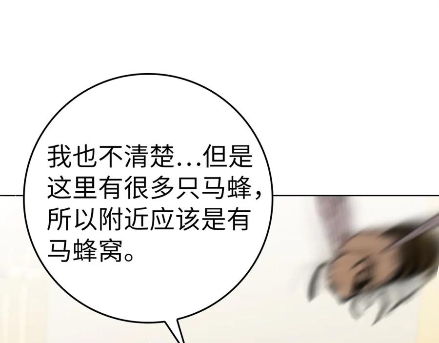 163.jpg