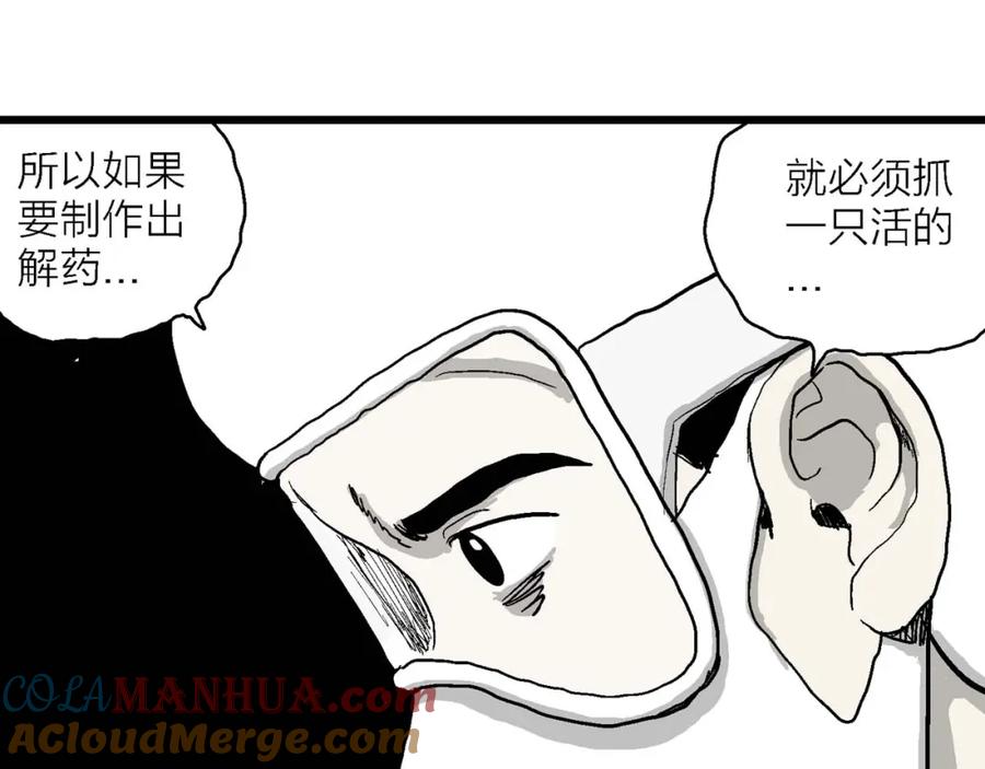 65.jpg