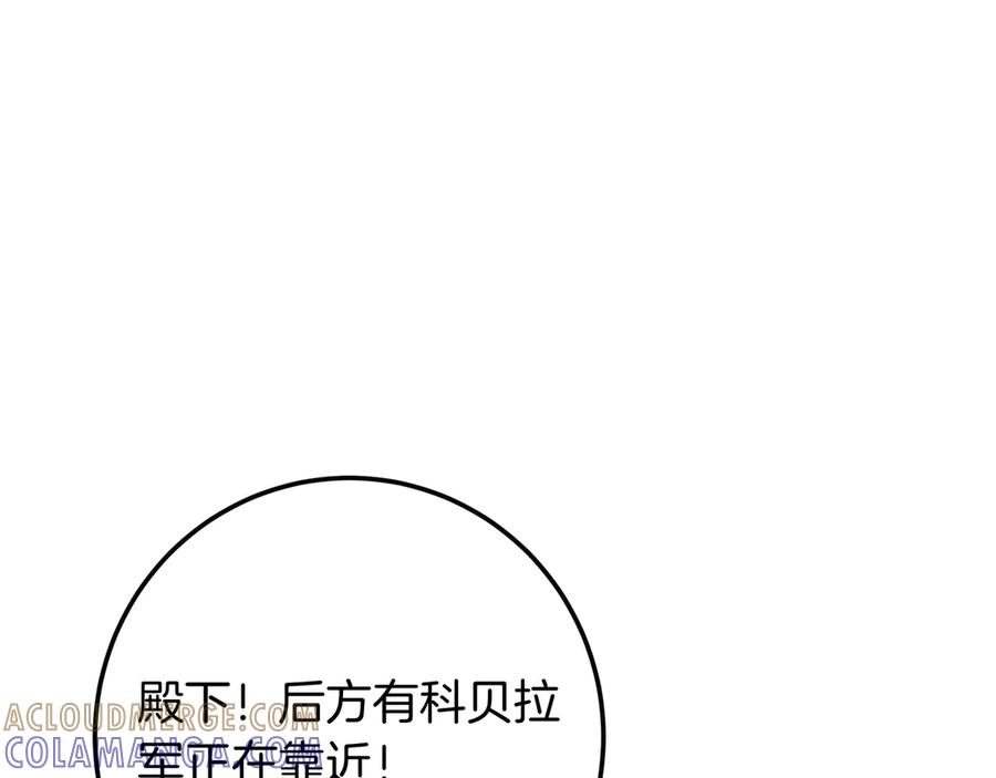 213.jpg