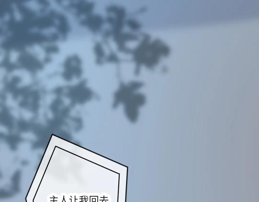 87.jpg