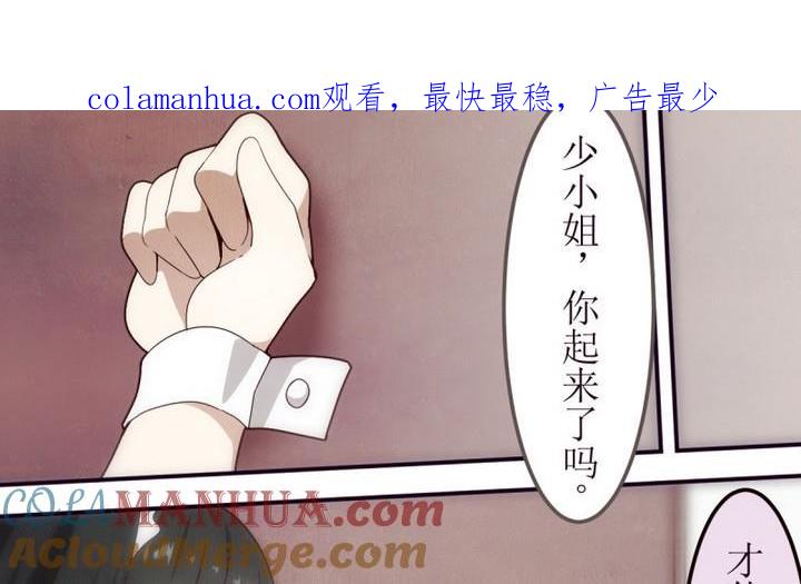 第11话灰色婚礼1-人形师艾丽卡-庄园骑士（第1张）