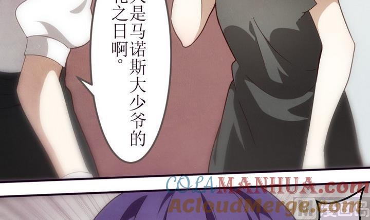 第11话灰色婚礼1-人形师艾丽卡-庄园骑士（第3张）