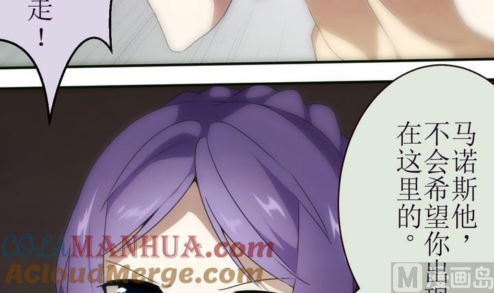 第14话灰色婚礼4-人形师艾丽卡-庄园骑士（第14张）