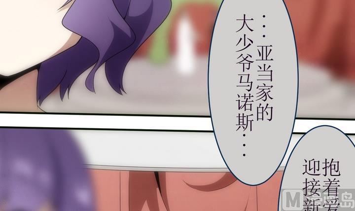 第14话灰色婚礼4-人形师艾丽卡-庄园骑士（第17张）