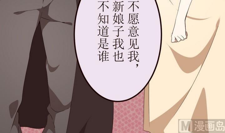 第15话灰色婚礼5-人形师艾丽卡-庄园骑士（第27张）