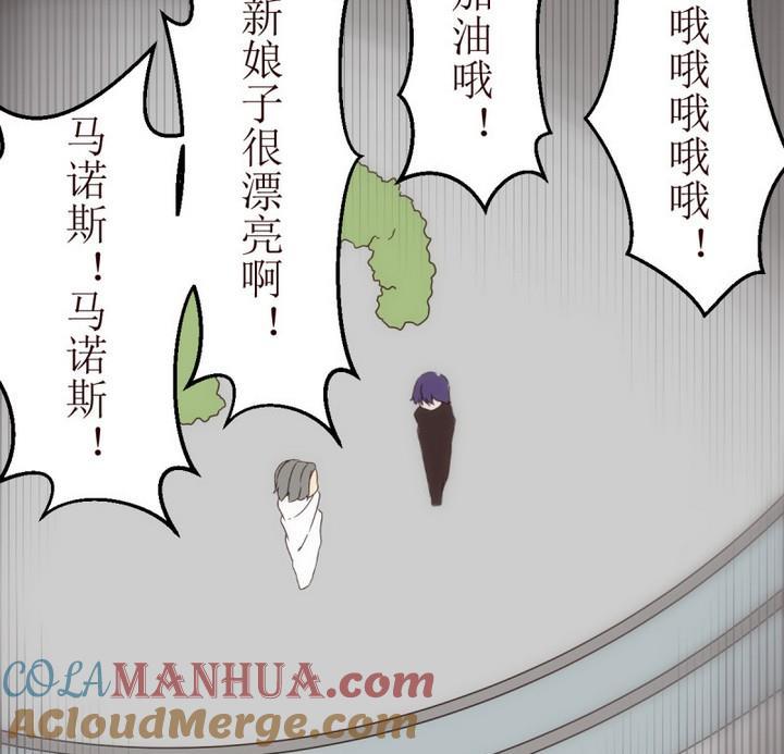 第15话灰色婚礼5-人形师艾丽卡-庄园骑士（第13张）