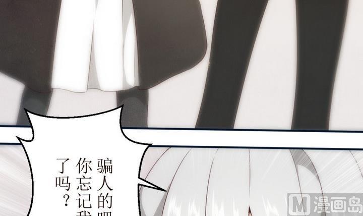 第19话圣泽尔日记1-人形师艾丽卡-庄园骑士（第18张）