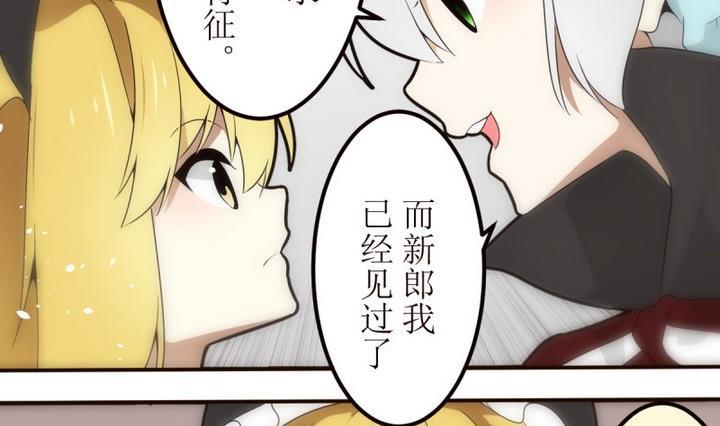 第22话找到方向了？2-人形师艾丽卡-庄园骑士（第14张）