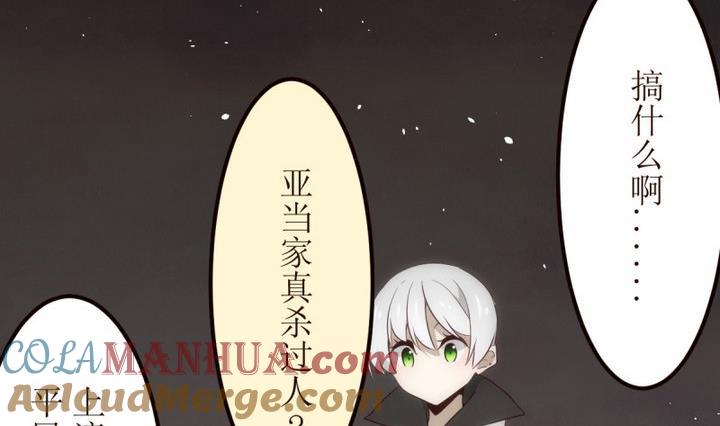 第26话诡异的交付2-人形师艾丽卡-庄园骑士（第17张）