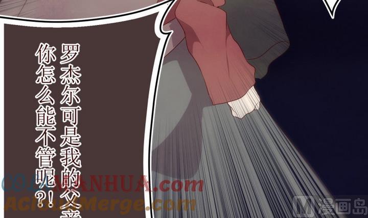 第40话不存在？4-人形师艾丽卡-庄园骑士（第15张）