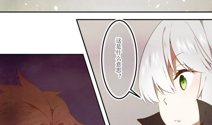 第45话新发现1-人形师艾丽卡-庄园骑士（第2张）