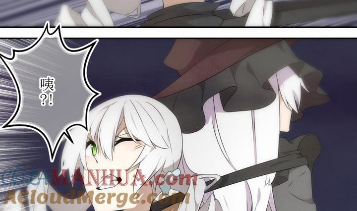 第50话幕后2-人形师艾丽卡-庄园骑士（第5张）