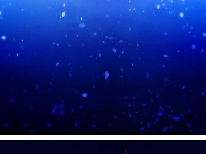第82话六个考验29-人形师艾丽卡-庄园骑士（第14张）
