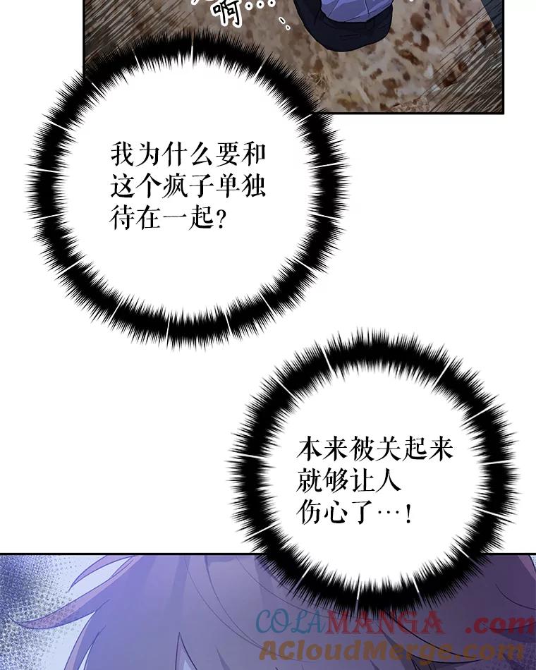 85.jpg