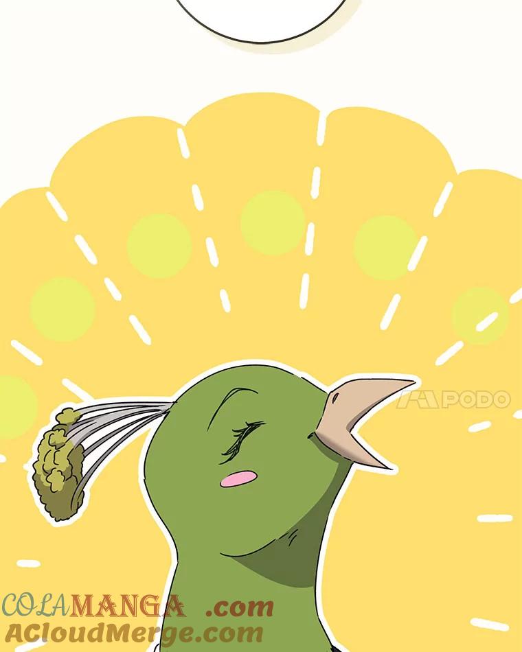73.jpg