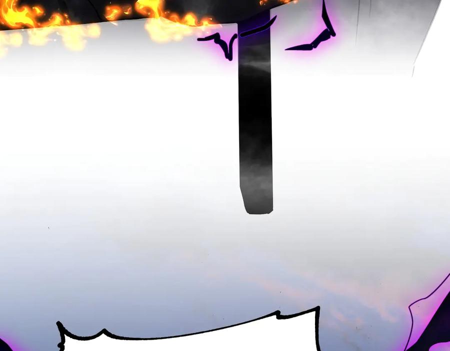 206.jpg