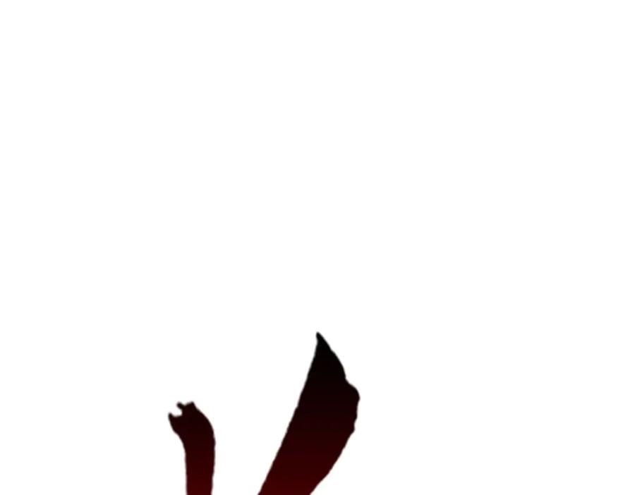 44.jpg