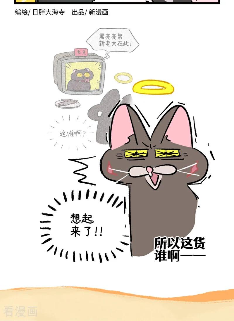 第251话-阿满和麦茶-新漫画 日胖大海寺（第18张）