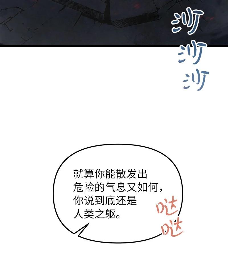95.jpg