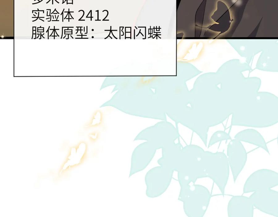 74.jpg
