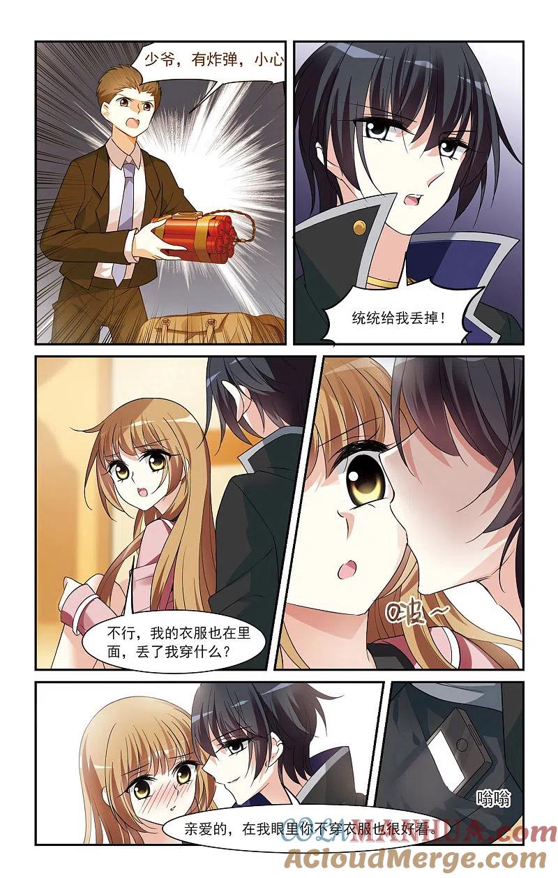 6.jpg