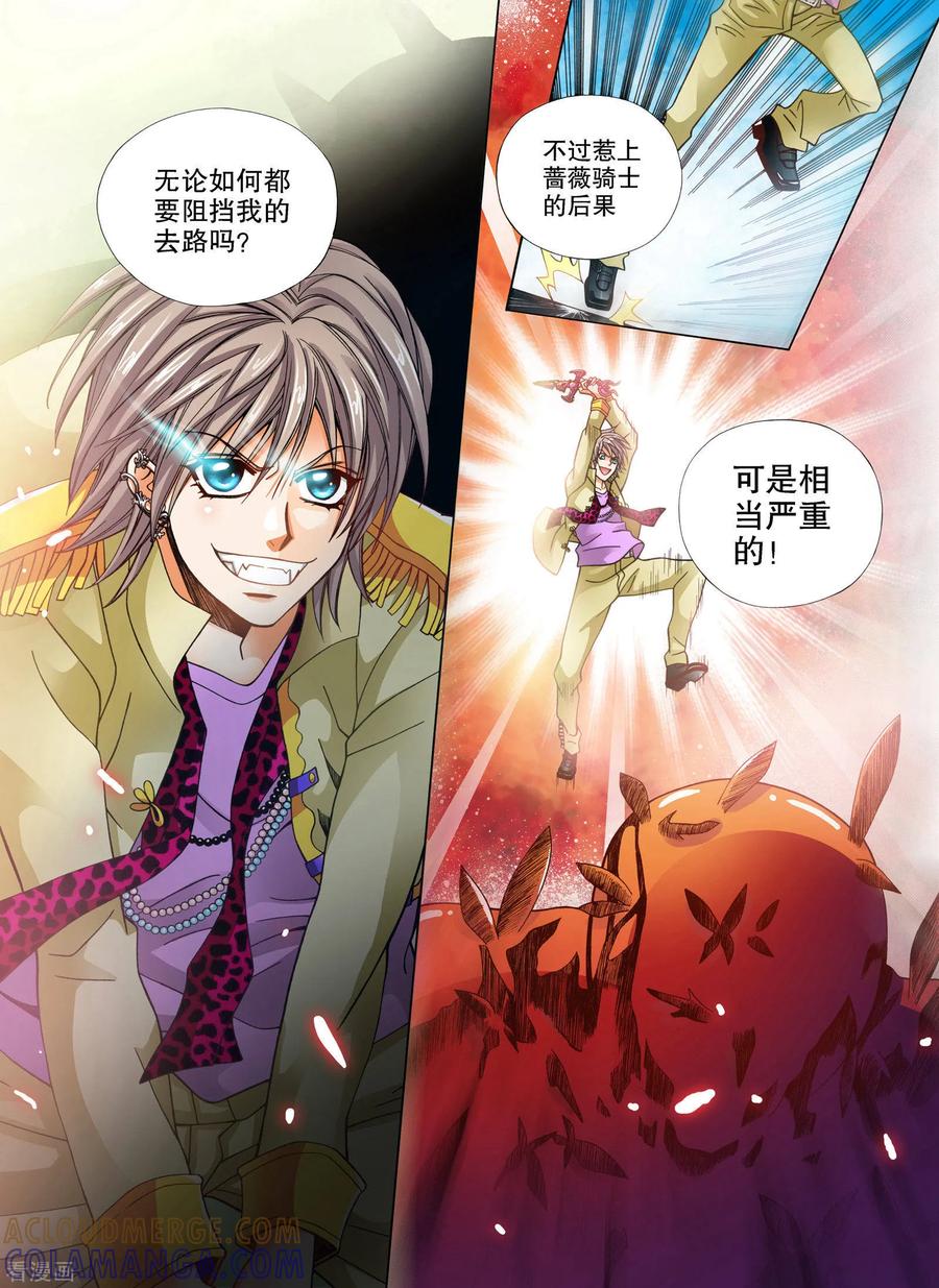 第14话-我的蔷薇骑士-蔷薇恋GLORY（第10张）