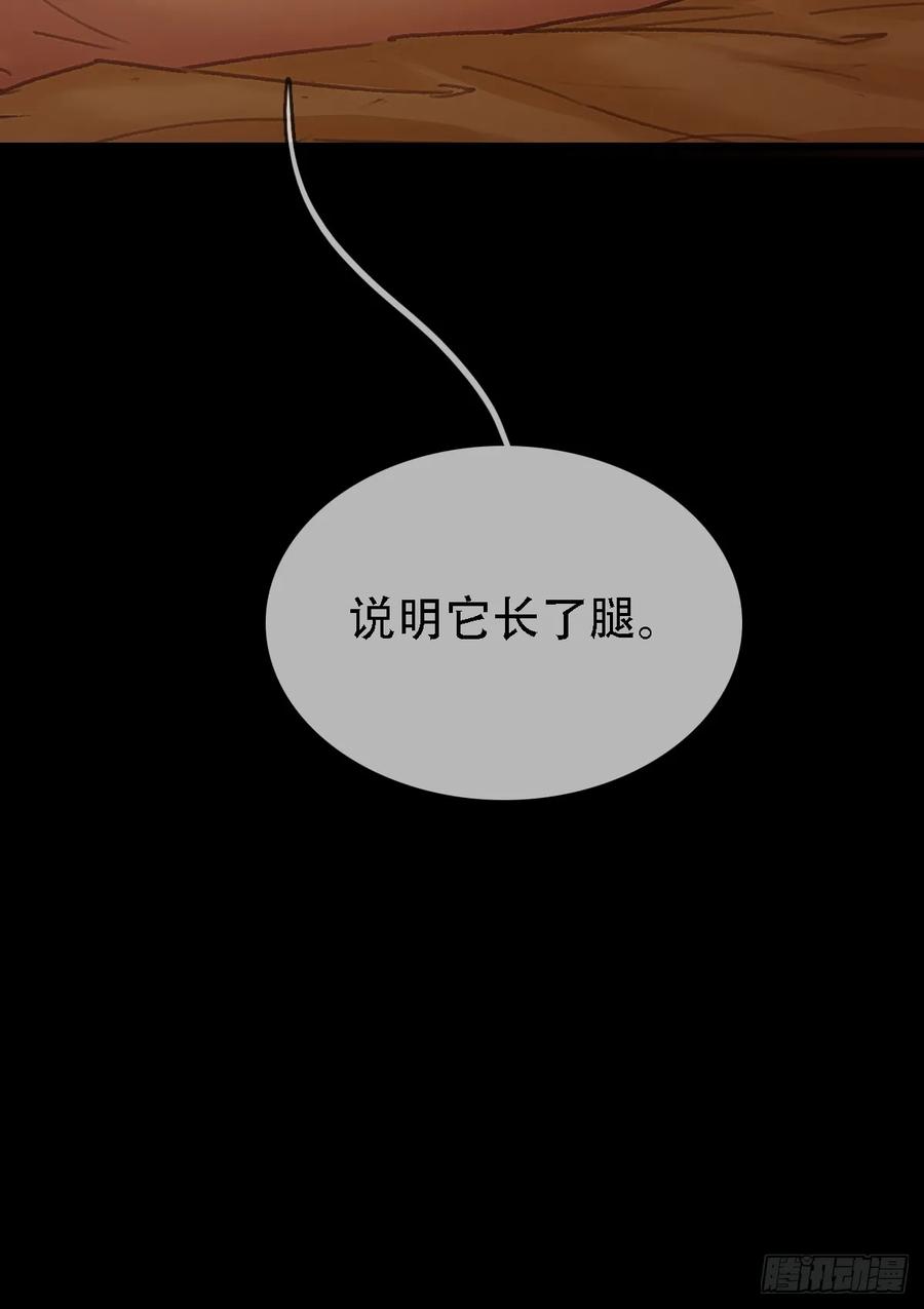47.jpg