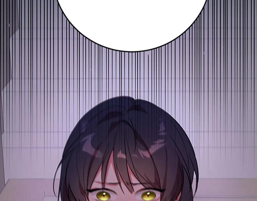 246.jpg