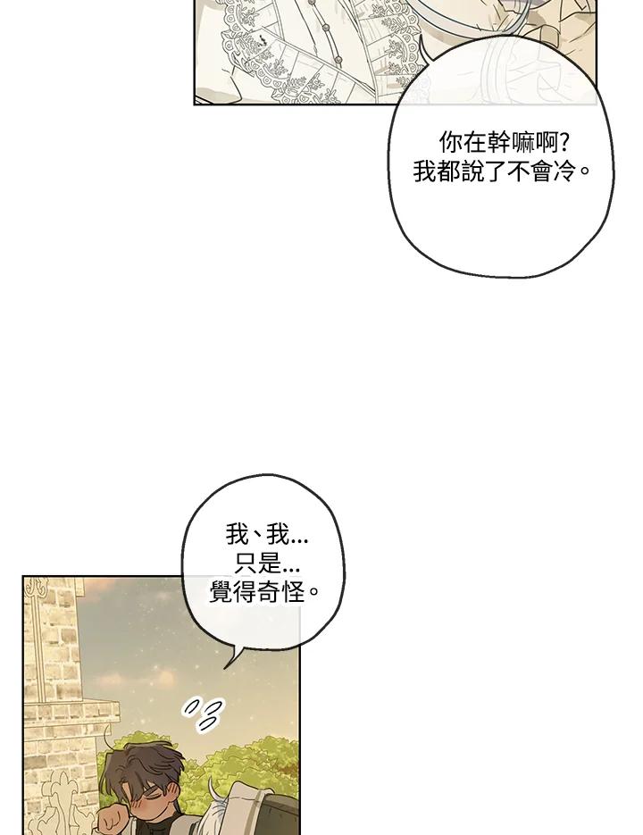 56.jpg