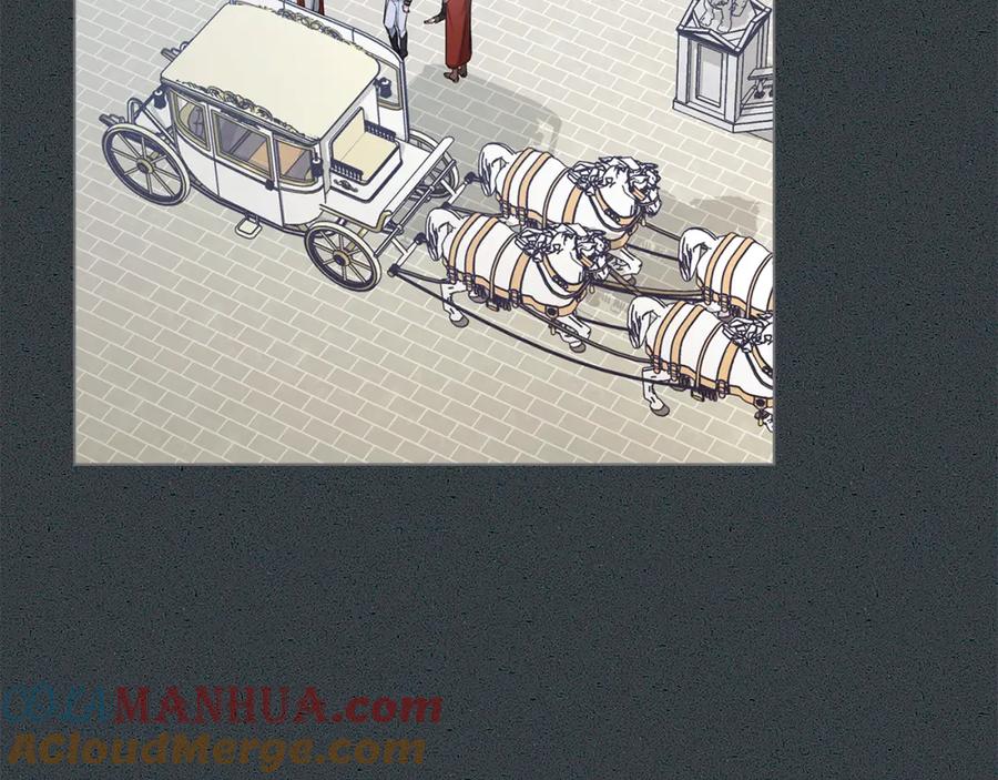 113.jpg