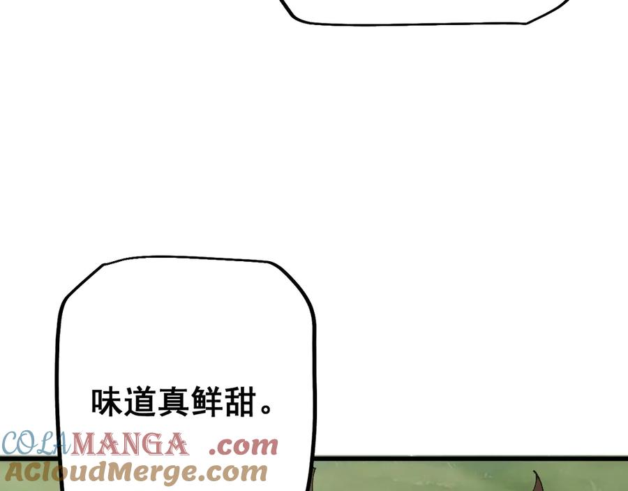 113.jpg