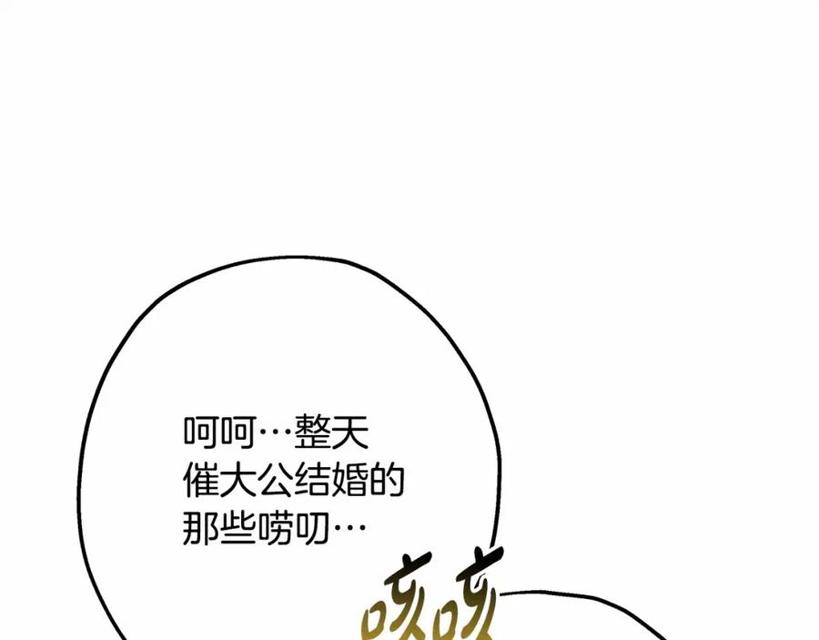 226.jpg