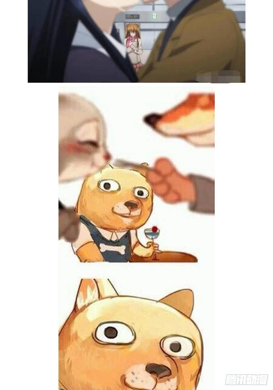 62.jpg