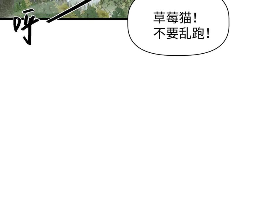 71.jpg
