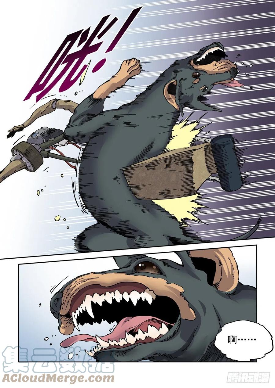 21.jpg