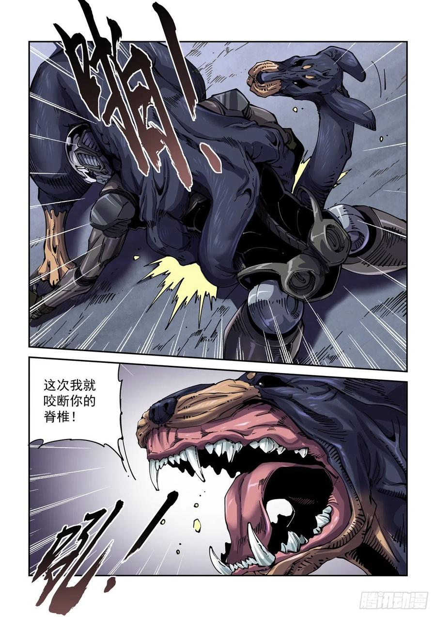 14.jpg