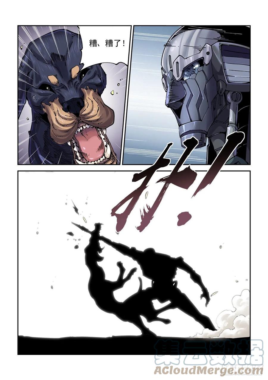 4.jpg