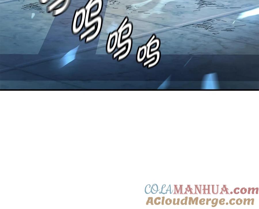 113.jpg