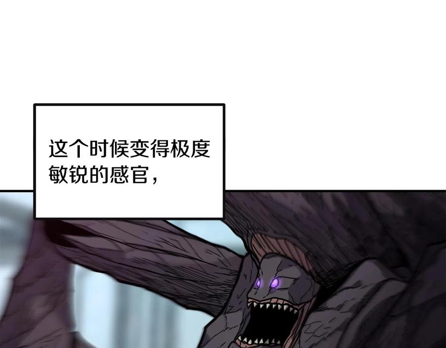 142.jpg