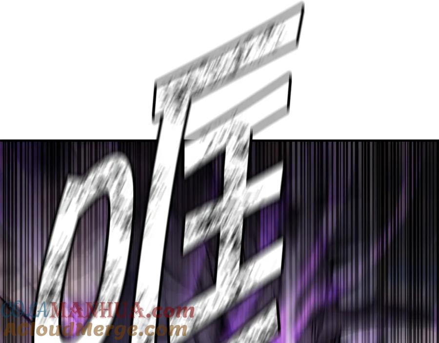 113.jpg