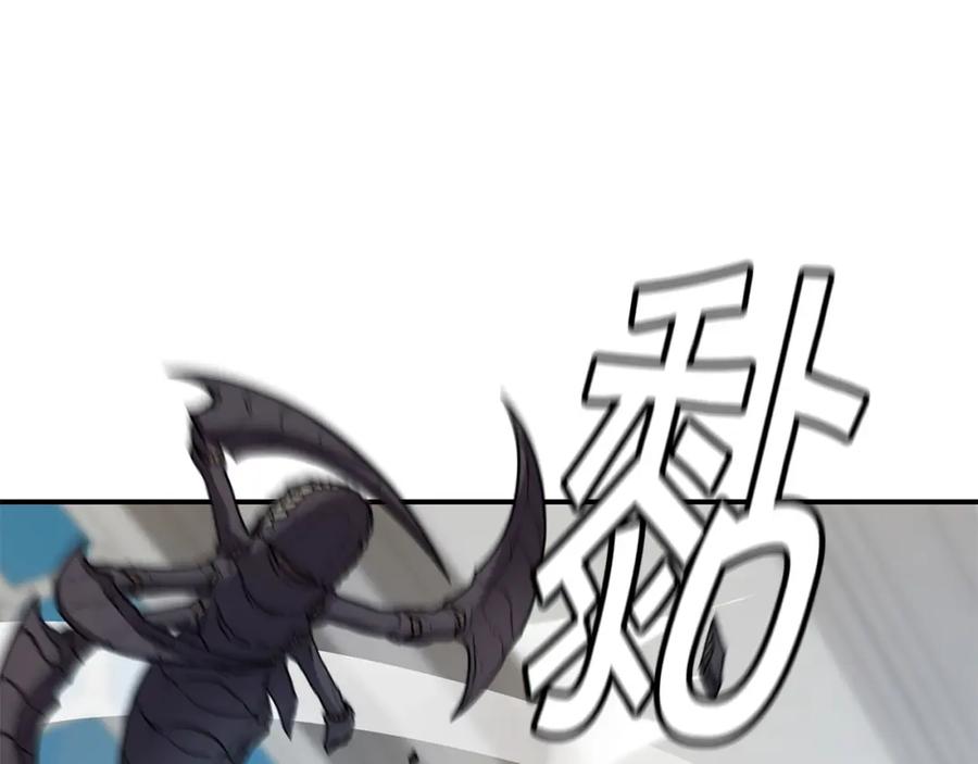113.jpg