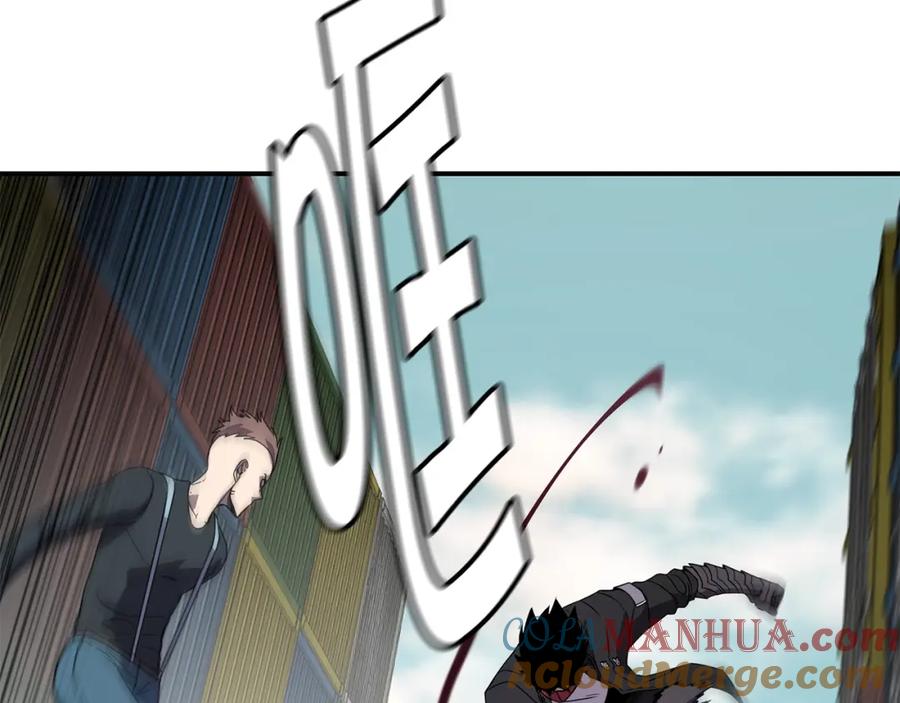 81.jpg