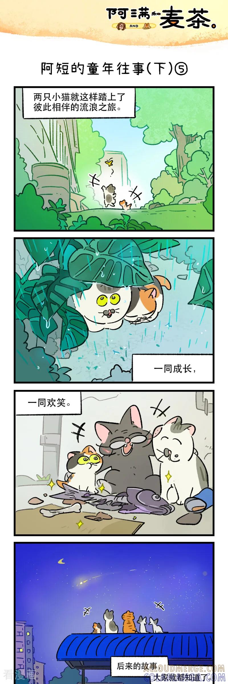 第259话-阿满和麦茶-新漫画 日胖大海寺（第9张）