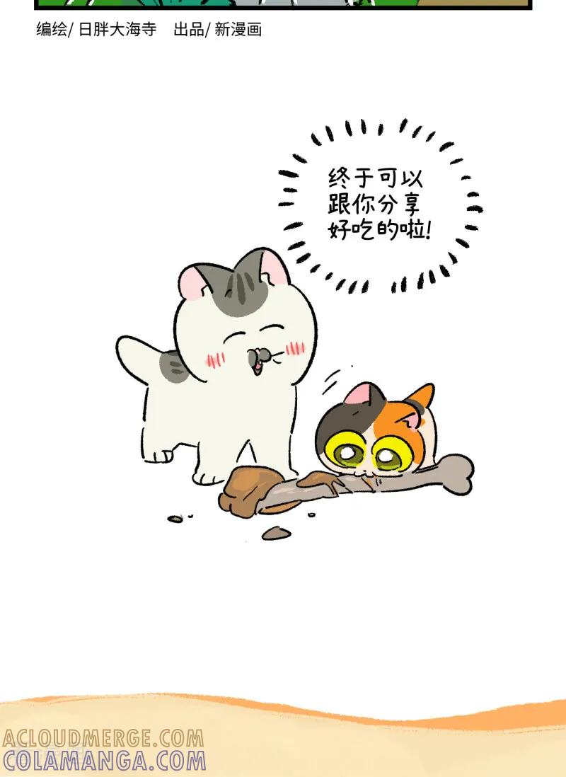 第259话-阿满和麦茶-新漫画 日胖大海寺（第8张）