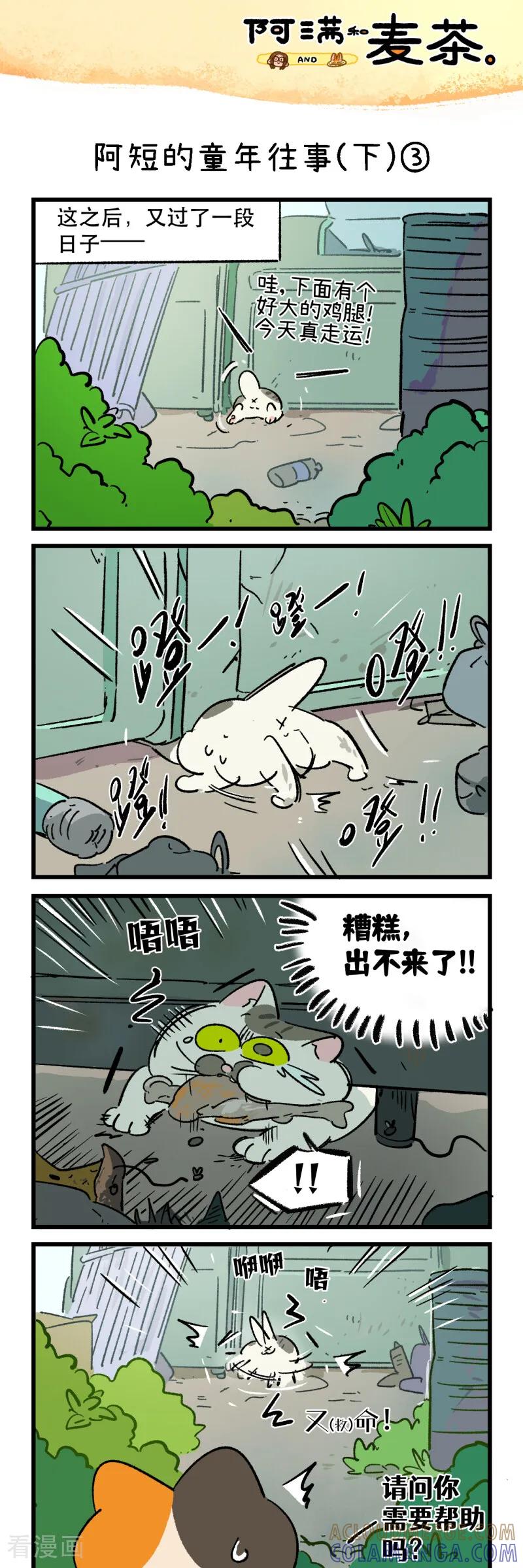 第259话-阿满和麦茶-新漫画 日胖大海寺（第5张）