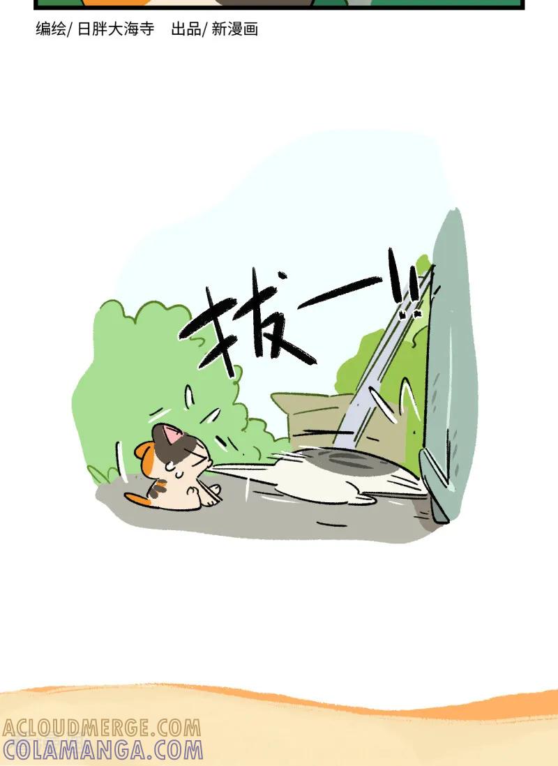 第259话-阿满和麦茶-新漫画 日胖大海寺（第6张）